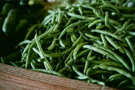 http://www.lafermedelasource.fr/259-thickbox_atch/haricots-verts-bio-.jpg