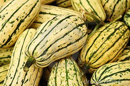 http://www.lafermedelasource.fr/261-thickbox_atch/courge-delicata.jpg